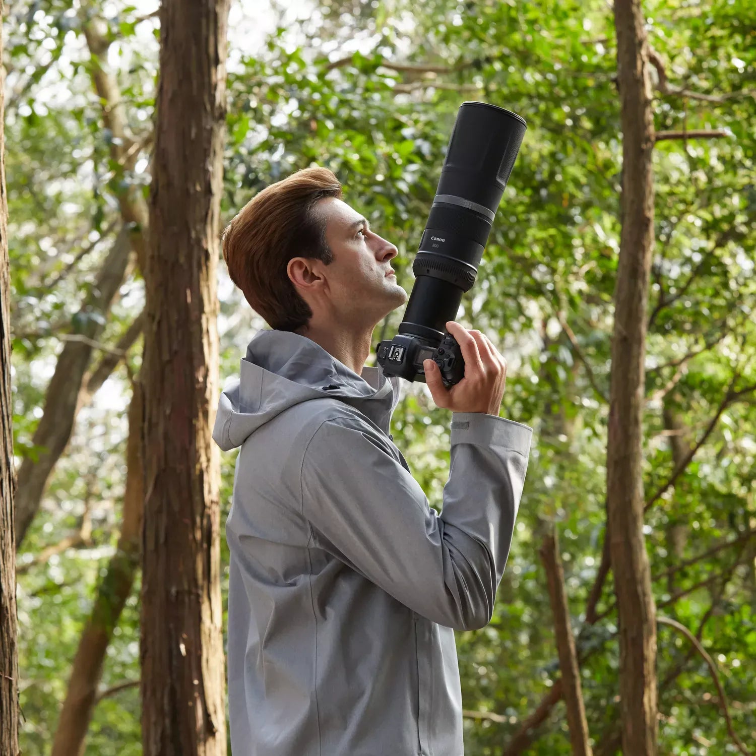 Canon RF 800mm F11 IS STM Lens (Direct Import)