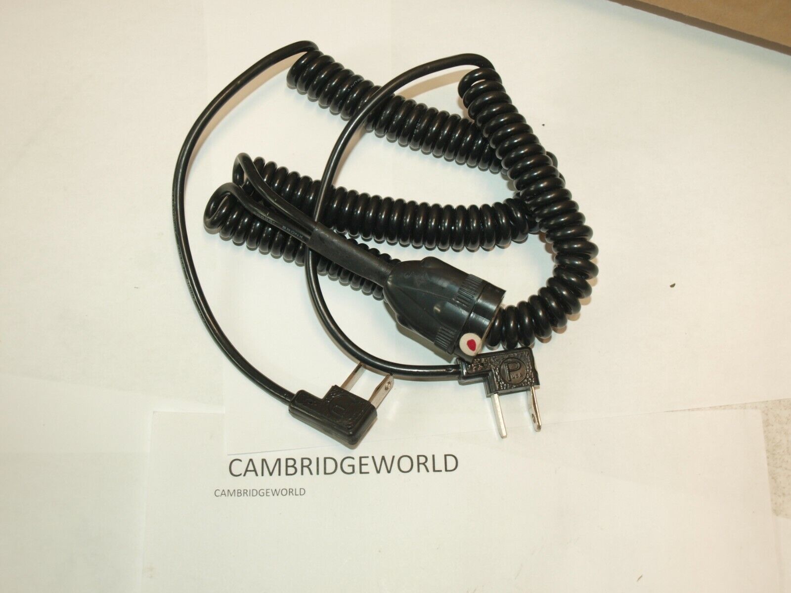 Cambridge World Inc