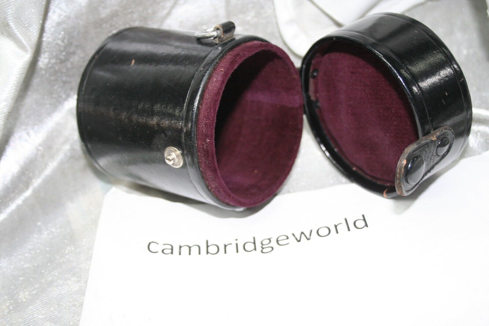 Cambridge World Inc