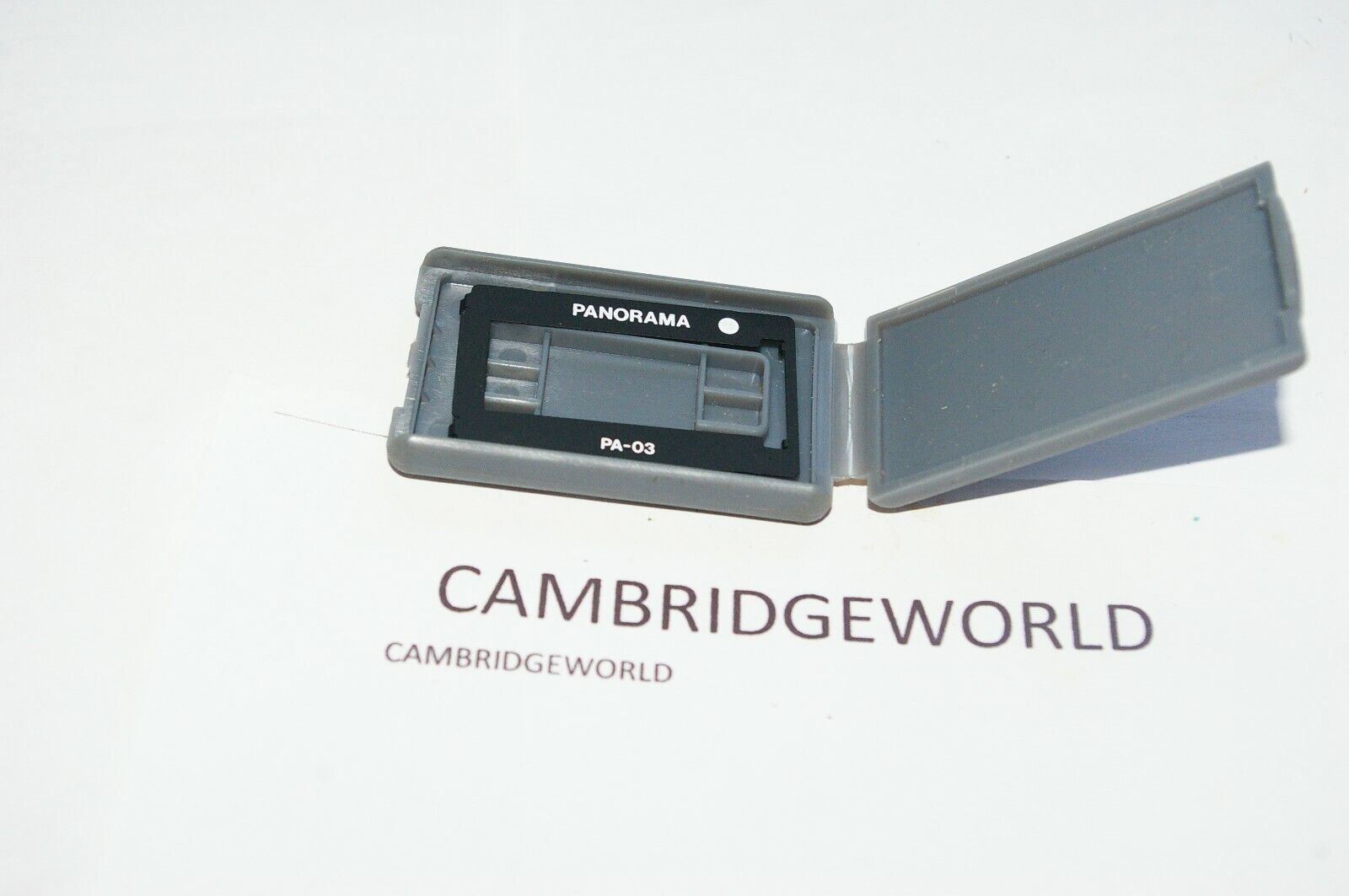 Cambridge World Inc