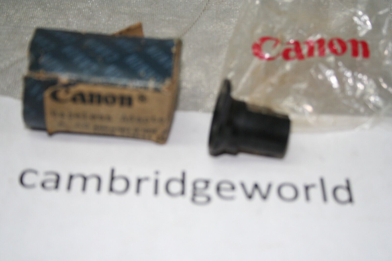 Cambridge World Inc