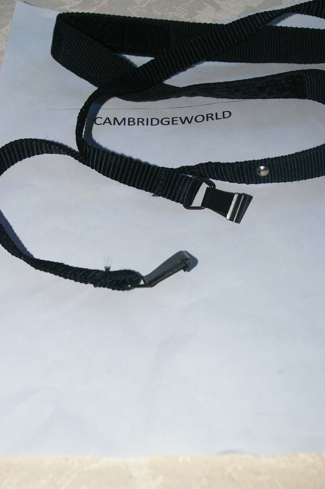 Cambridge World Inc