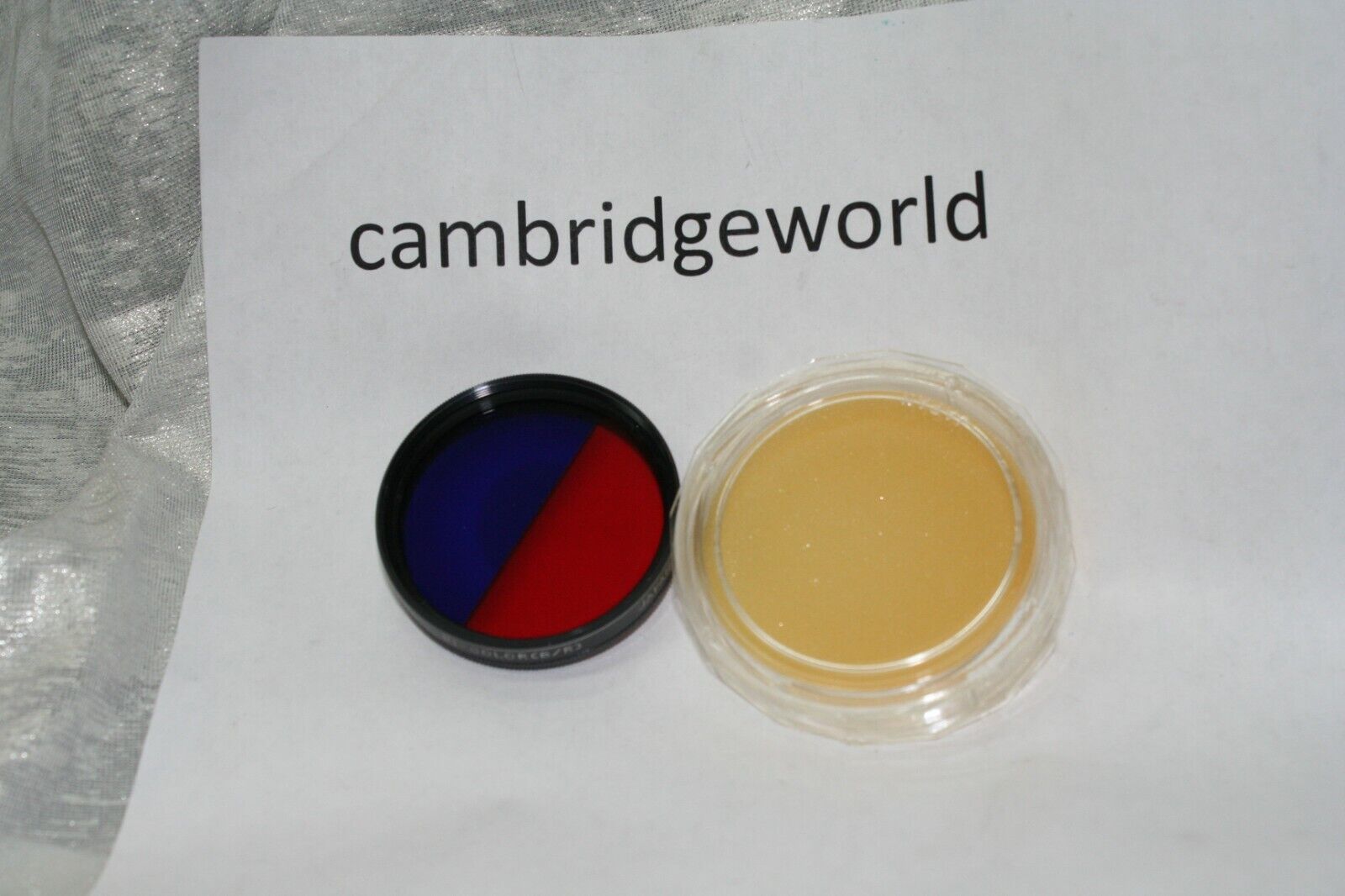 Cambridge World Inc.