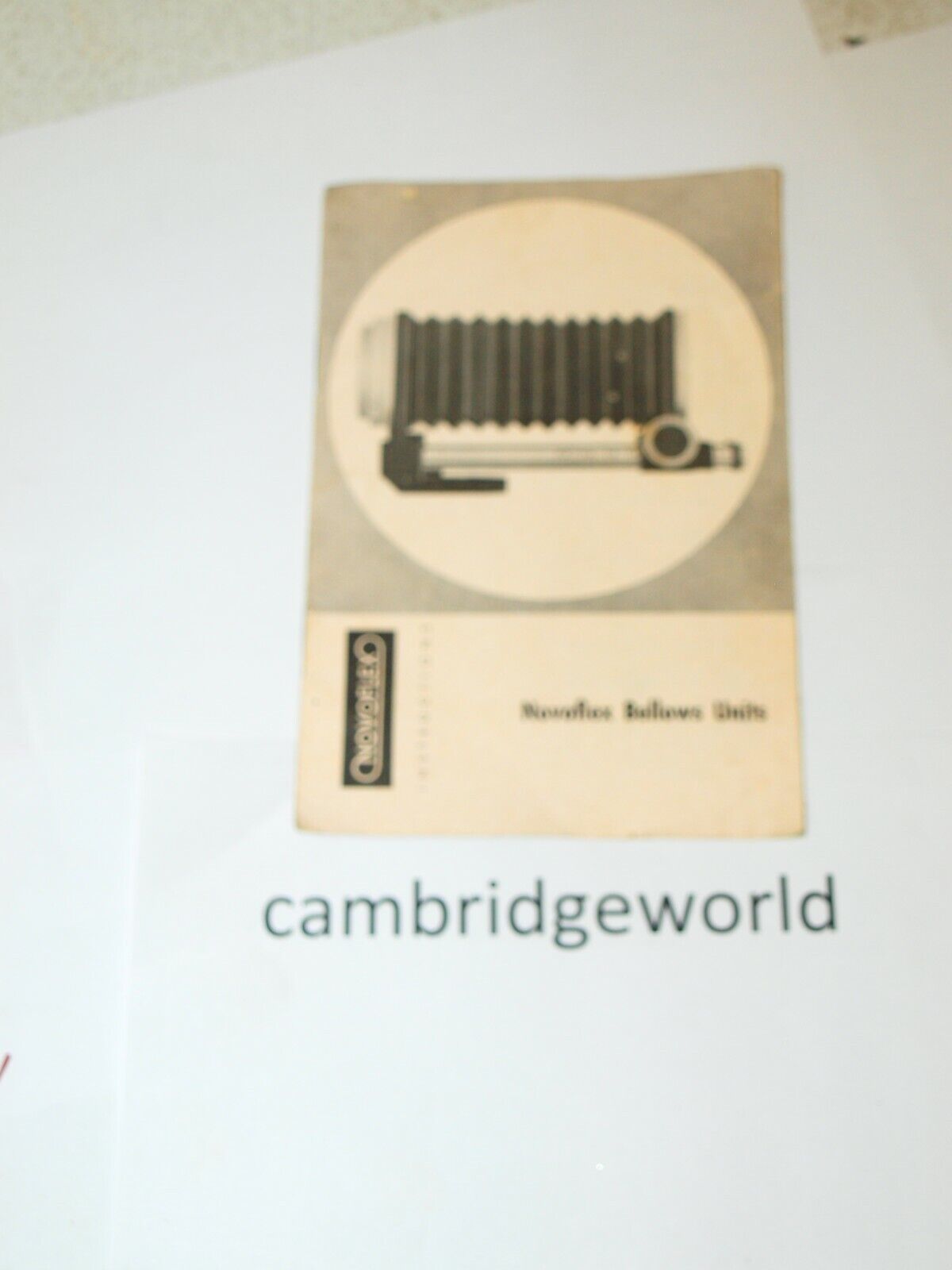 Cambridge World Inc