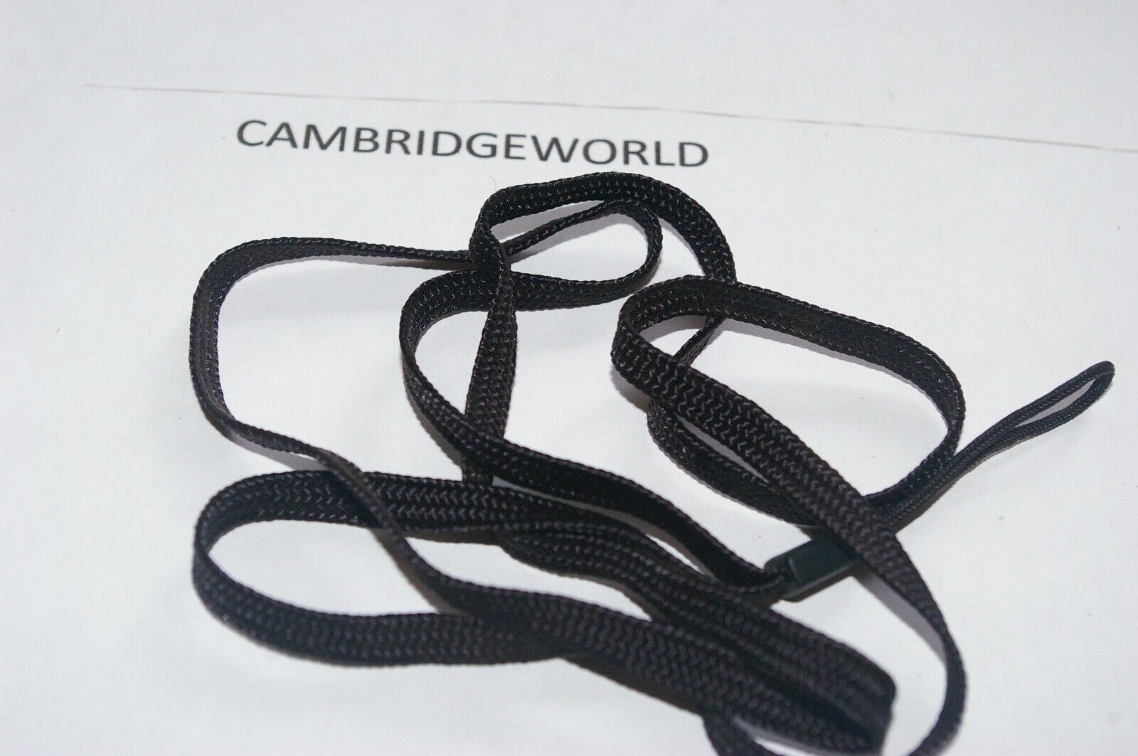 Cambridge World Inc