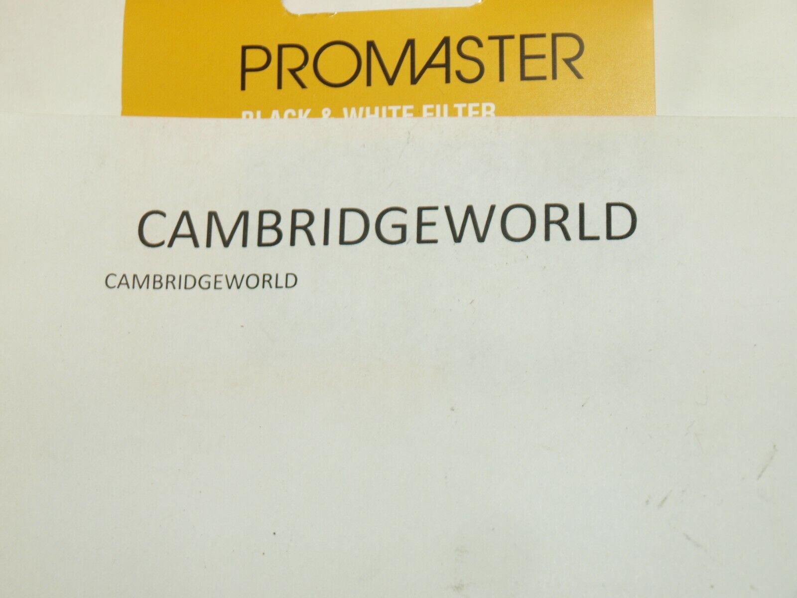 Cambridge World Inc