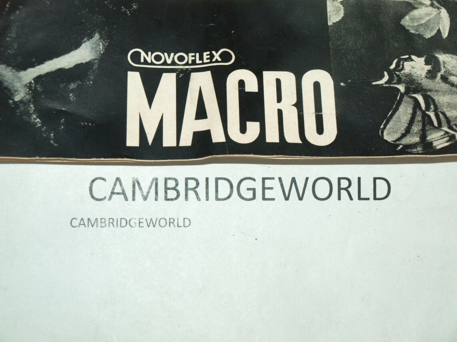 Cambridge World Inc