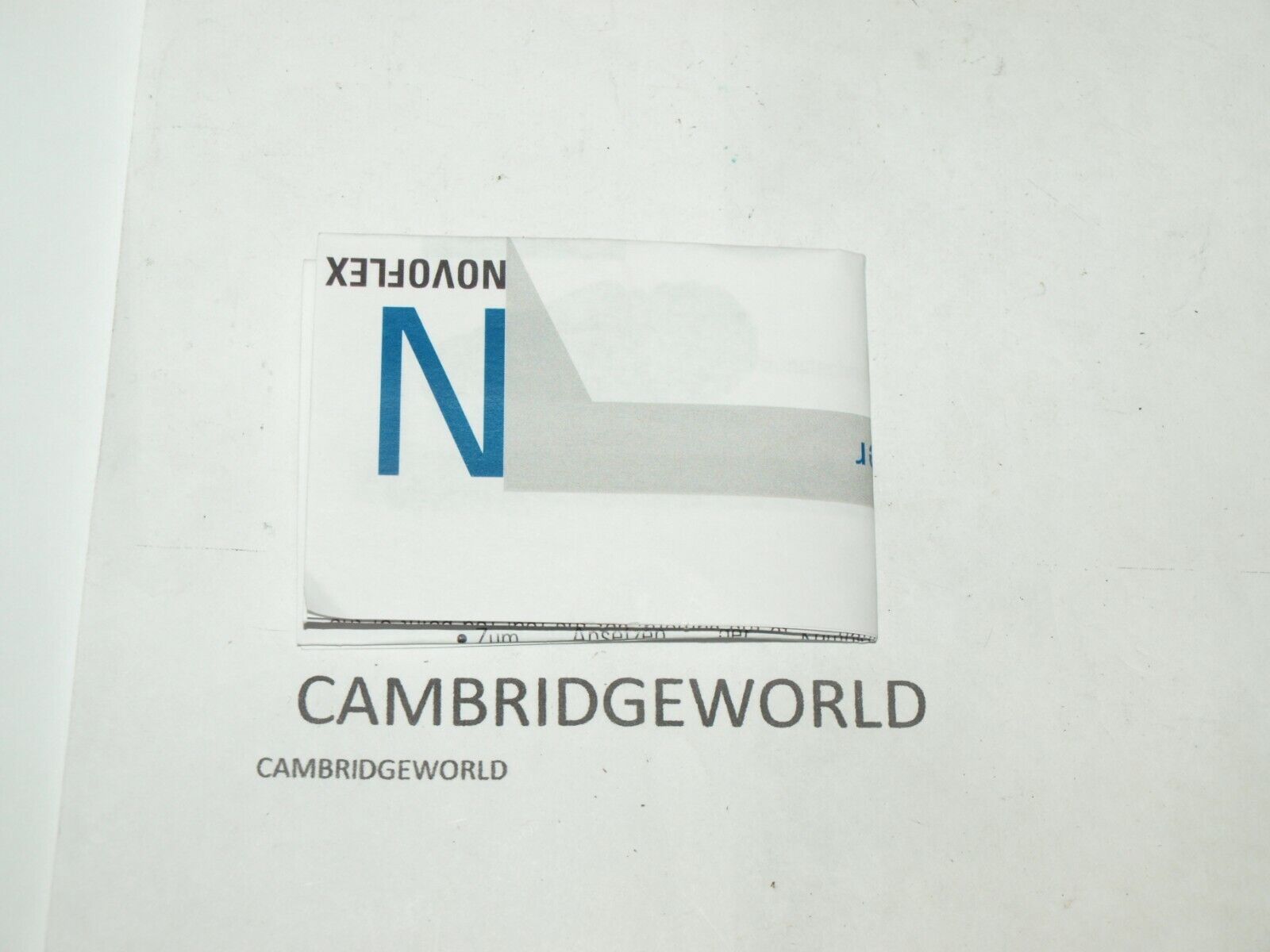 Cambridge World Inc