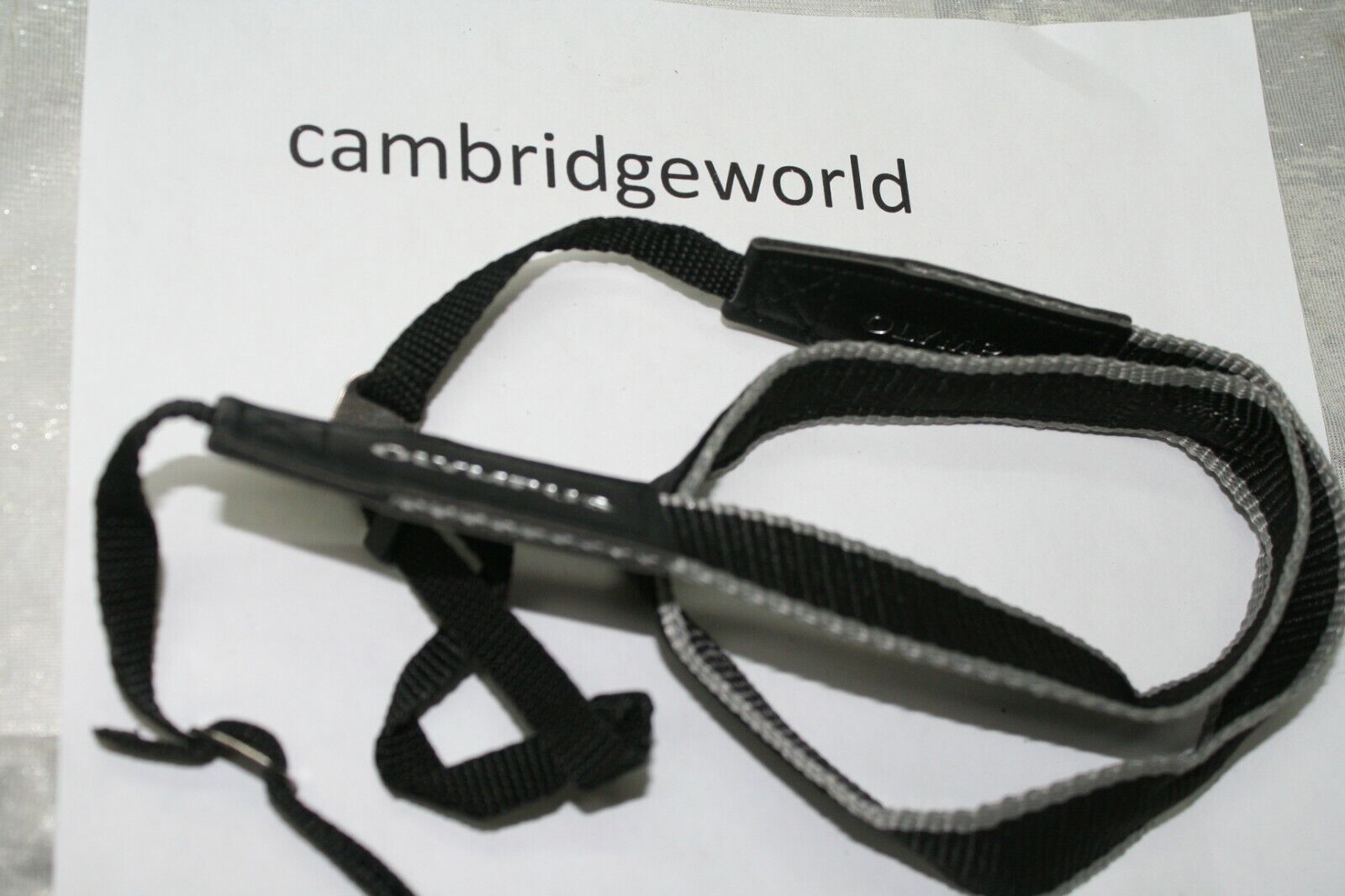 Cambridge World Inc