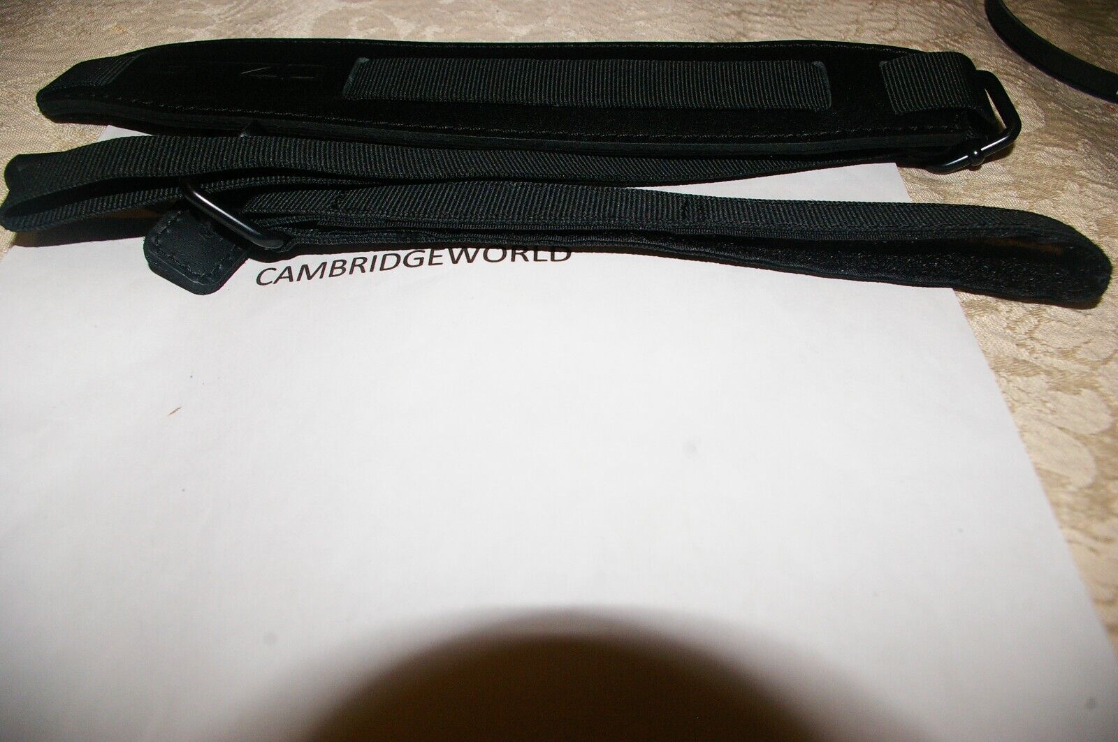 Cambridge World Inc