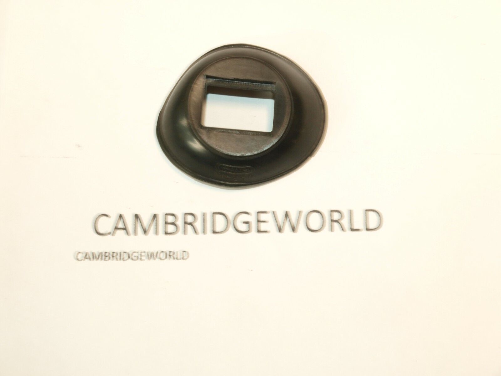 Cambridge World Inc