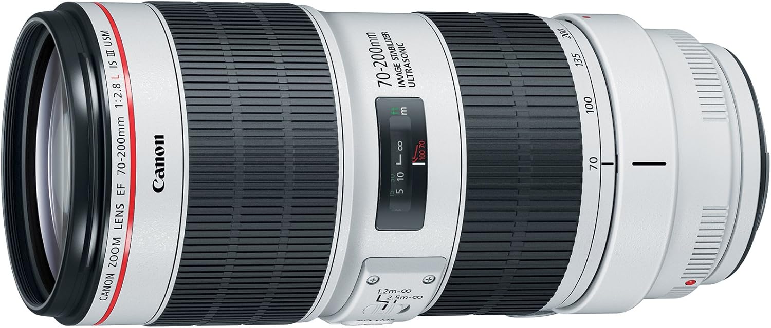 Canon EF 70-200mm f/2.8L IS III USM Lens for Canon Digital SLR Cameras, White - 3044C002
