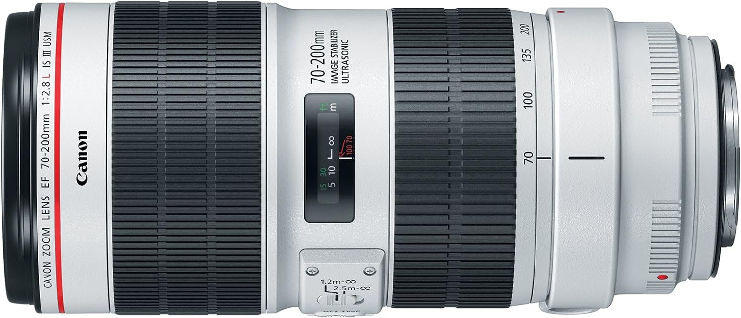 Canon EF 70-200mm f/2.8L IS III USM Lens for Canon Digital SLR Cameras, White - 3044C002