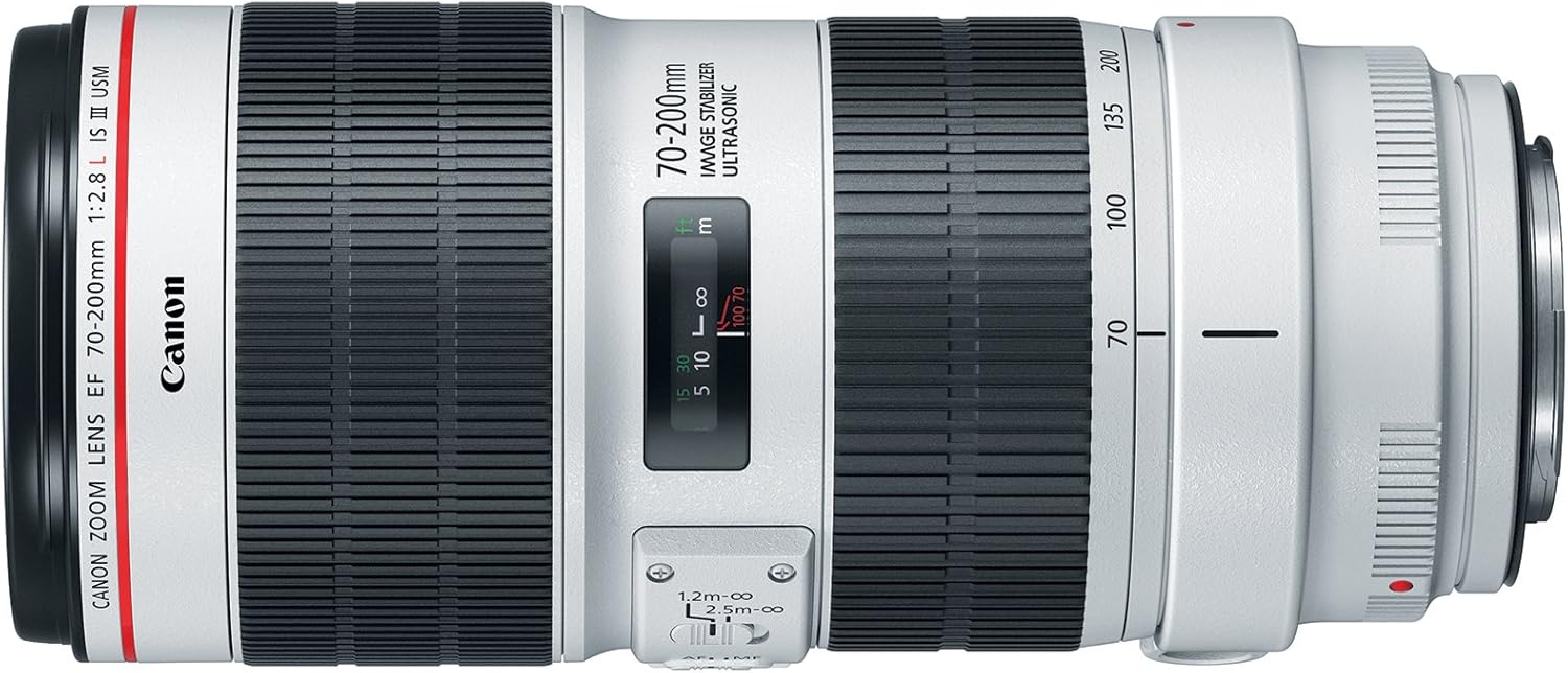 Canon EF 70-200mm f/2.8L IS III USM Lens for Canon Digital SLR Cameras, White - 3044C002