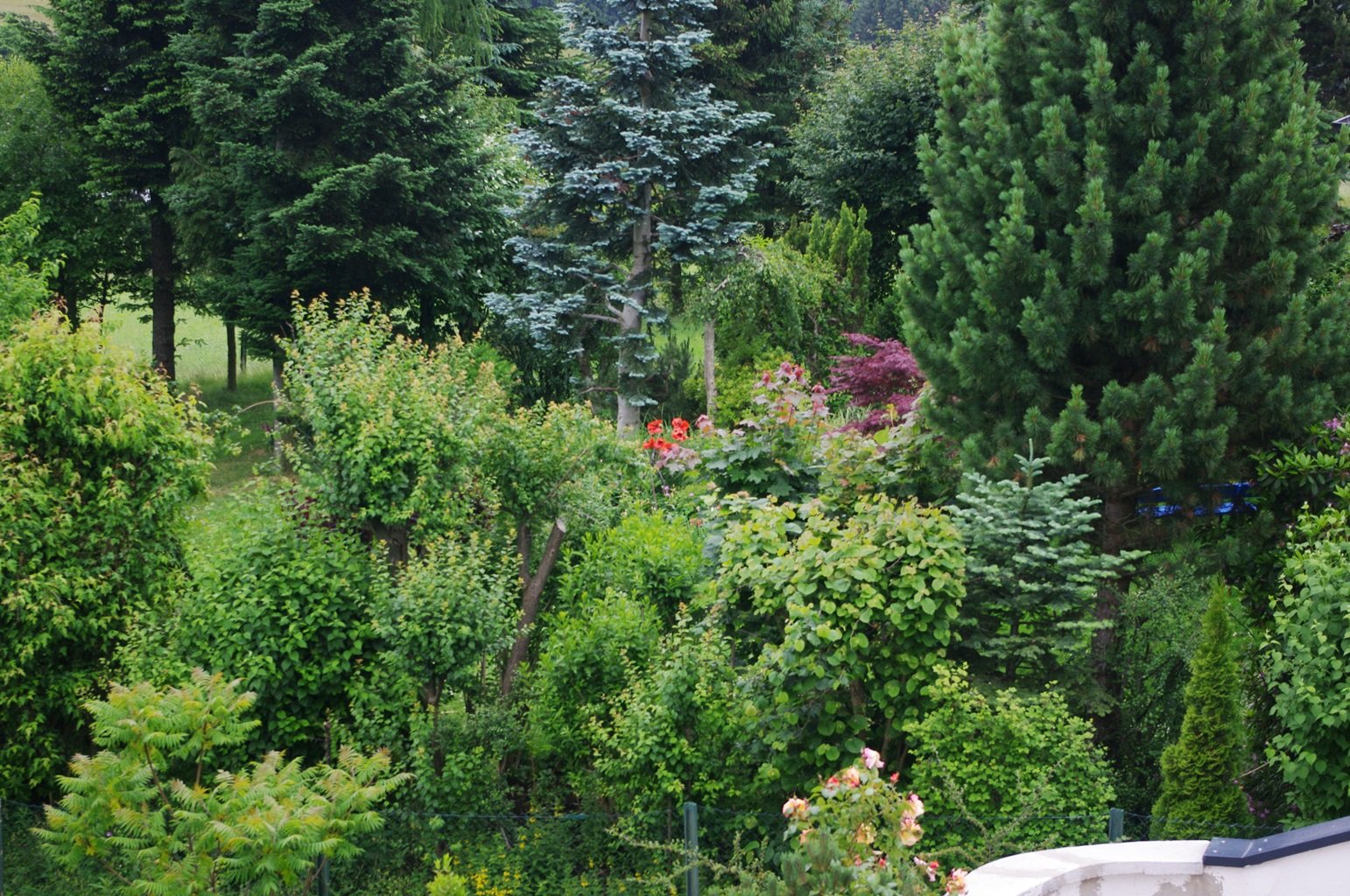 Pentax DA 18-55mm f/3.5-5.6 AL II Lens for Pentax and Samsung Digital SLR Cameras