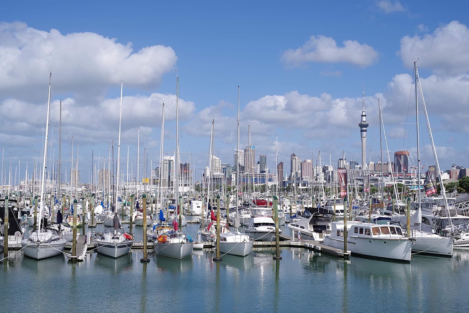 Pentax HD PENTAX-D FA50mmF1.4 SDM AW Single-focus standard lens New-generation, Star-series lens Extra-sharp, high-contrast images Free of flare and ghost images, Black