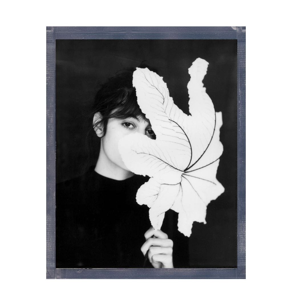 Polaroid Polaroid Black & White 8x10 Film (10 Exposures)